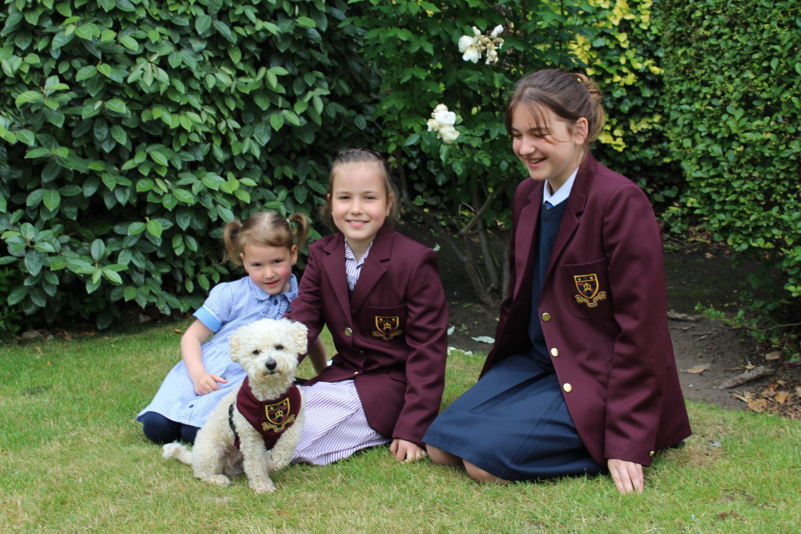 Welcome to Uliana, Solomiia and Stefaniia Banner